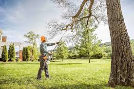 Best Tree and Shrub Care  in Flora, IN